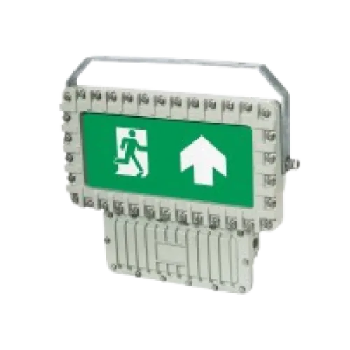 Emergency Light, DMG Series