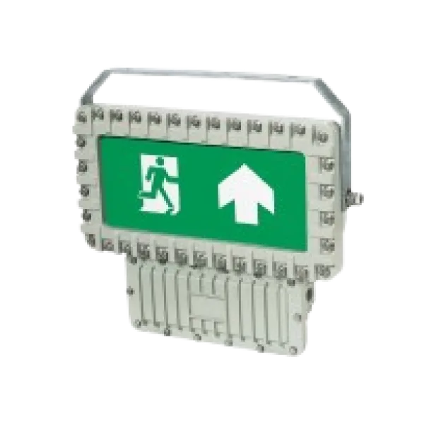 Emergency Light, DMG Series