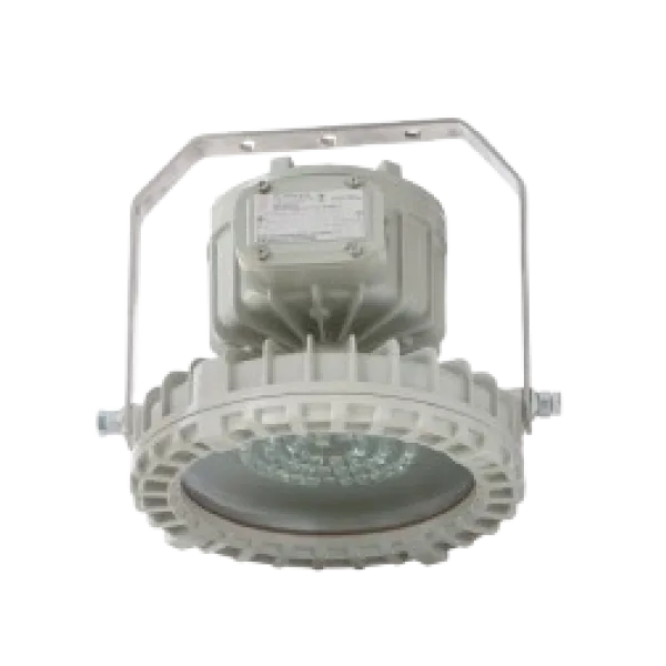 LED High Bay Lighting Fixture, DFDR1 Series