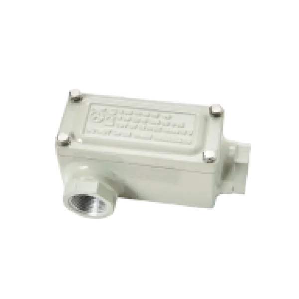 Conduit Outlet Bodies (Rectangular Box), DSB Series