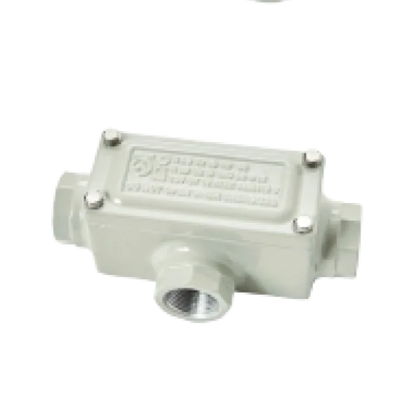 Conduit Outlet Bodies (Rectangular Box), DSB Series