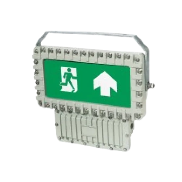 Emergency Light, DMG Series